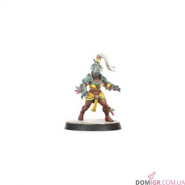 Amazon Blood Bowl Team – Kara Temple Harpies