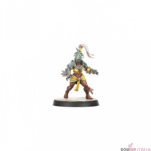 Amazon Blood Bowl Team – Kara Temple Harpies