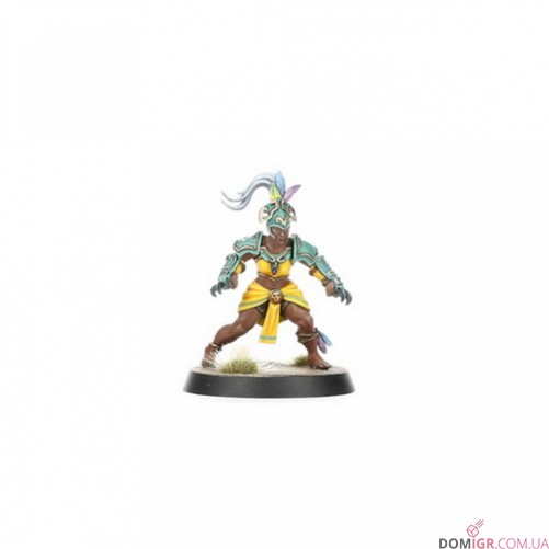 Amazon Blood Bowl Team – Kara Temple Harpies