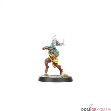 Amazon Blood Bowl Team – Kara Temple Harpies