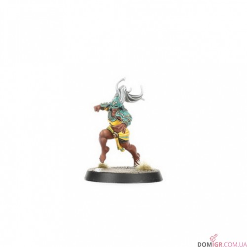 Amazon Blood Bowl Team – Kara Temple Harpies