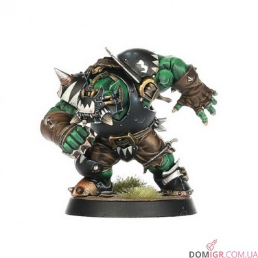 Black Orc Blood Bowl Team: The Thunder Valley Greenskins