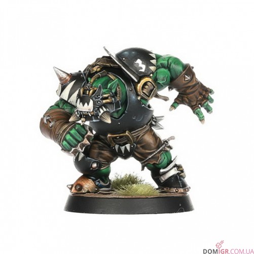 Black Orc Blood Bowl Team: The Thunder Valley Greenskins