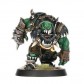 Black Orc Blood Bowl Team: The Thunder Valley Greenskins