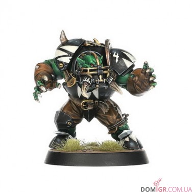 Black Orc Blood Bowl Team: The Thunder Valley Greenskins