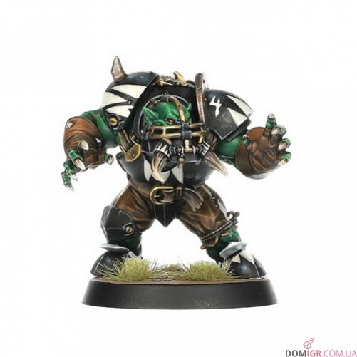 Black Orc Blood Bowl Team: The Thunder Valley Greenskins