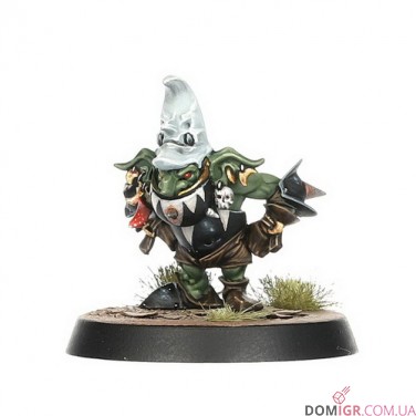 Black Orc Blood Bowl Team: The Thunder Valley Greenskins