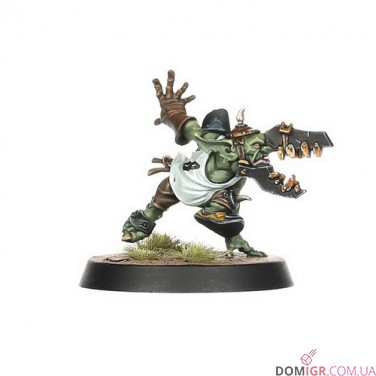 Black Orc Blood Bowl Team: The Thunder Valley Greenskins