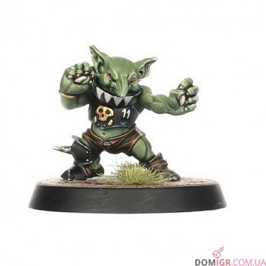 Black Orc Blood Bowl Team: The Thunder Valley Greenskins