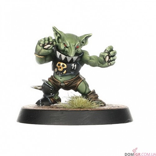 Black Orc Blood Bowl Team: The Thunder Valley Greenskins
