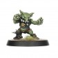 Black Orc Blood Bowl Team: The Thunder Valley Greenskins