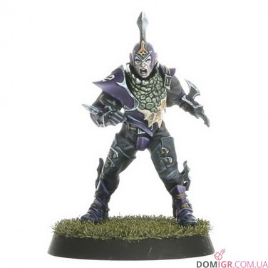 Dark Elf Blood Bowl Team – Naggaroth Nightmares