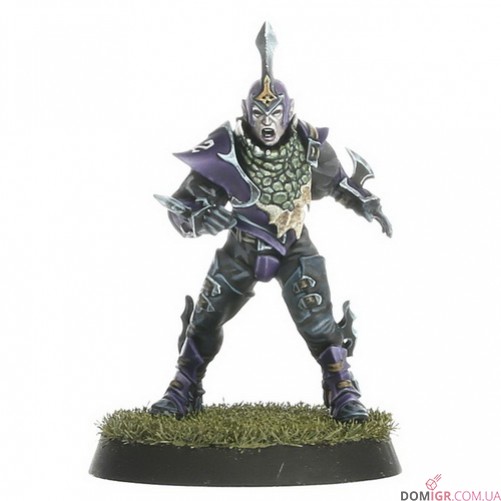 Dark Elf Blood Bowl Team – Naggaroth Nightmares