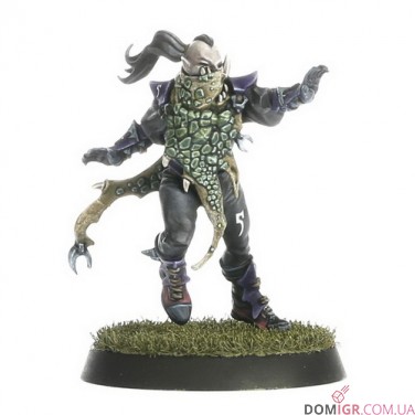 Dark Elf Blood Bowl Team – Naggaroth Nightmares