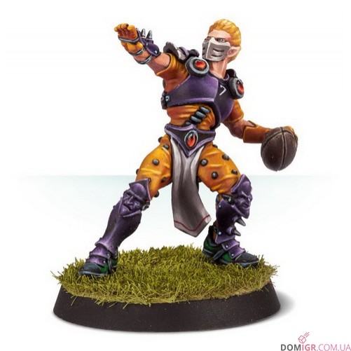 Elven Union Blood Bowl Team: Elfheim Eagles