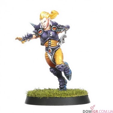 Elven Union Blood Bowl Team: Elfheim Eagles