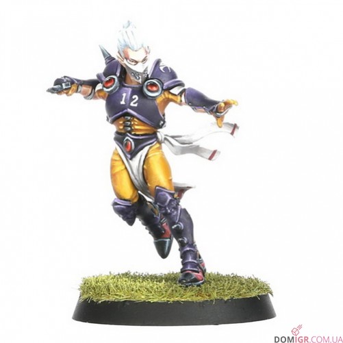 Elven Union Blood Bowl Team: Elfheim Eagles