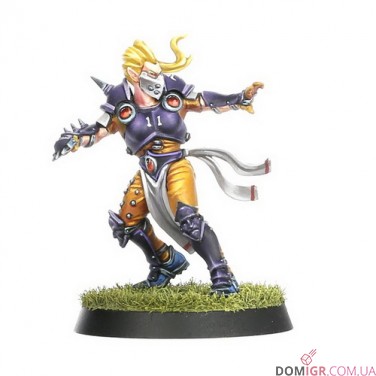 Elven Union Blood Bowl Team: Elfheim Eagles