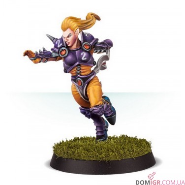 Elven Union Blood Bowl Team: Elfheim Eagles