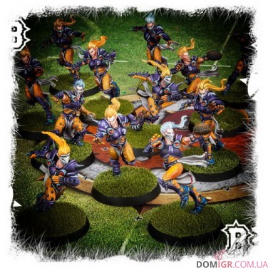 Elven Union Blood Bowl Team: Elfheim Eagles
