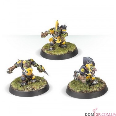 Goblin Blood Bowl Team: Scarcrag Snivellers