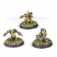 Goblin Blood Bowl Team: Scarcrag Snivellers