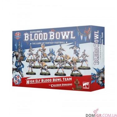 High Elf Blood Bowl Team: The Caledor Dragons