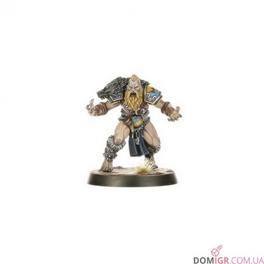 Купить Norse Blood Bowl Team: Norsca Rampagers Norse Blood Bowl Team: Norsca Rampagers