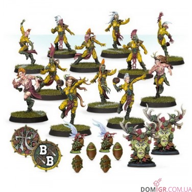 Wood Elf Blood Bowl Team – Athelorn Avengers