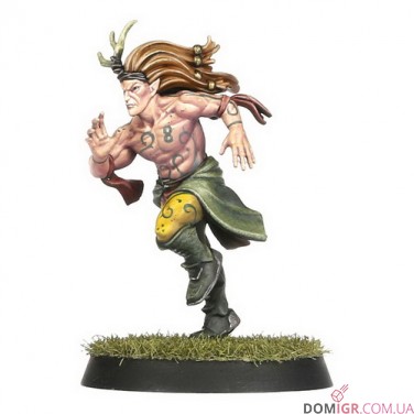 Wood Elf Blood Bowl Team – Athelorn Avengers