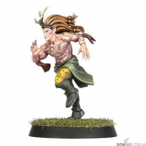 Wood Elf Blood Bowl Team – Athelorn Avengers