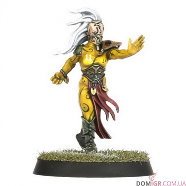Wood Elf Blood Bowl Team – Athelorn Avengers