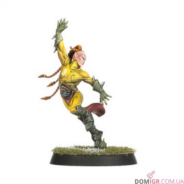 Wood Elf Blood Bowl Team – Athelorn Avengers