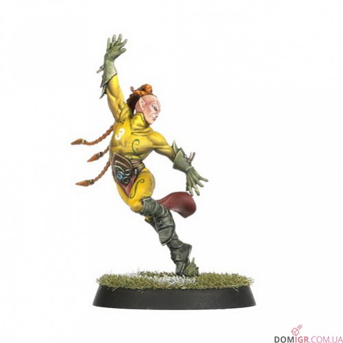 Wood Elf Blood Bowl Team – Athelorn Avengers