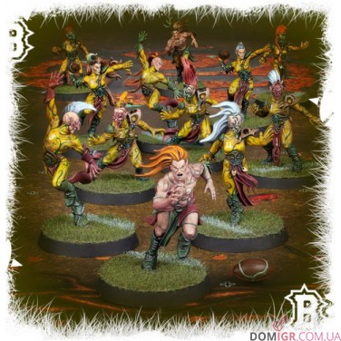 Wood Elf Blood Bowl Team – Athelorn Avengers