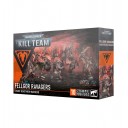 Kill Team: Fellgor Ravagers