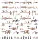 Necromunda: Cawdor Weapons and Upgrades