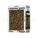 Creeping Vines
