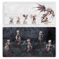 Daughters of Khaine: Battleforce  – Scáthborn Coven
