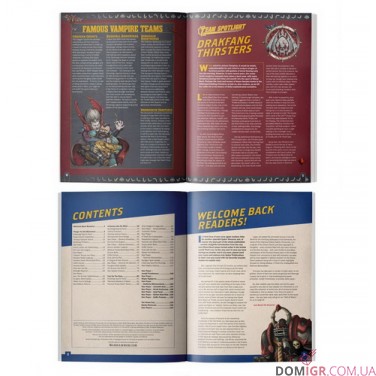 Blood Bowl: Spike! Presents – 2024 Almanac!