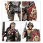 Freeguild Steelhelms