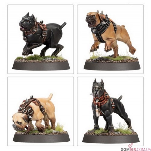 Regiment of Renown: Cities of Sigmar - Ven Denst's Hounds