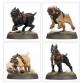 Regiment of Renown: Cities of Sigmar - Ven Denst's Hounds