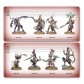 Hedonites of Slaanesh: Battleforce – The Decadent Host