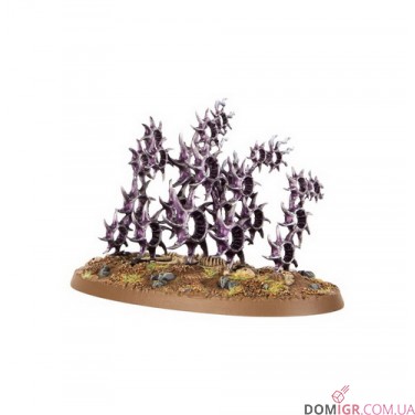 Regiment of Renown: Hedonites of Slaanesh - The Accursed Reflection