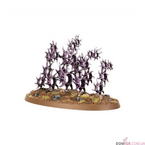 Regiment of Renown: Hedonites of Slaanesh - The Accursed Reflection
