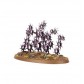 Regiment of Renown: Hedonites of Slaanesh - The Accursed Reflection