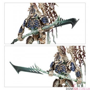 Spearhead: Ossiarch Bonereapers – Mortisan Elite