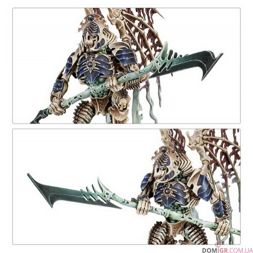 Spearhead: Ossiarch Bonereapers – Mortisan Elite