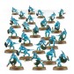 Skinks